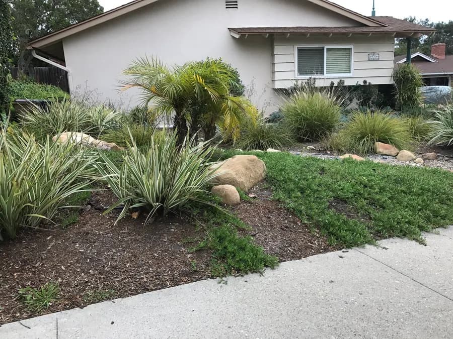 Grove Lane landscape project, photo 5