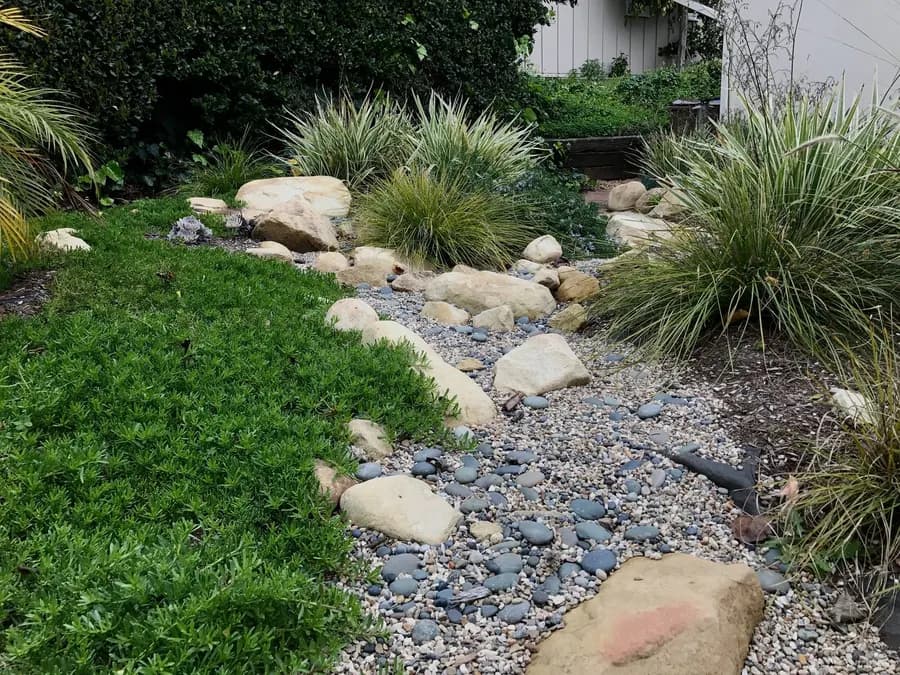 Grove Lane landscape project, photo 6