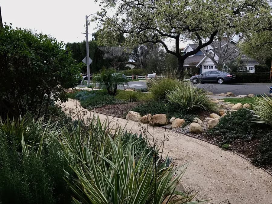 Grove Lane landscape project, photo 7