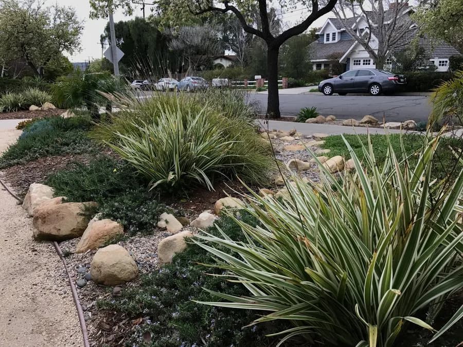Grove Lane landscape project, photo 8