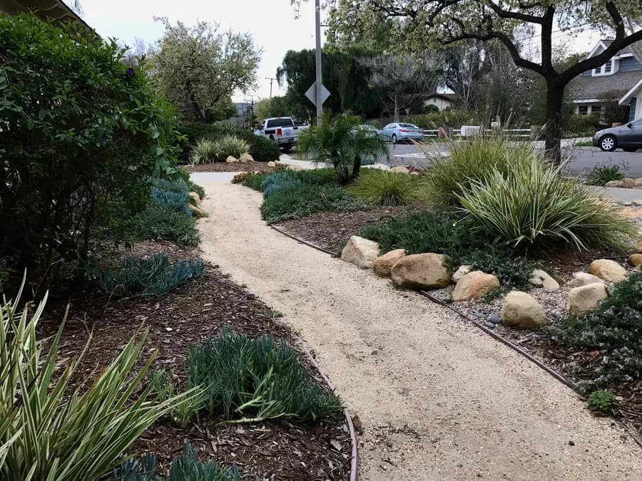 Grove Lane landscape project, photo 9