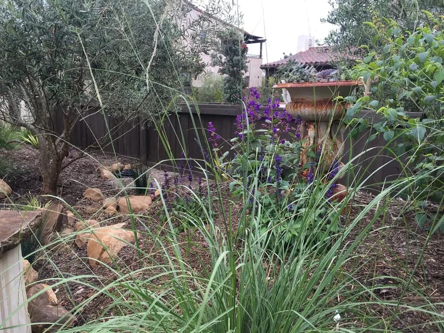 Lighthouse Sanctuary landscape project, photo 10