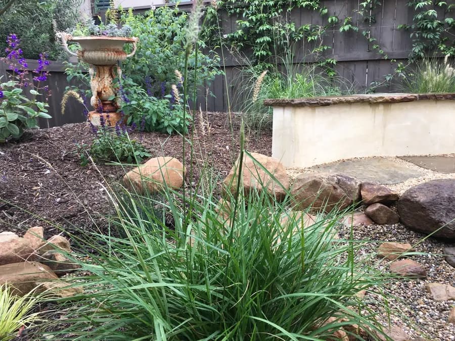Lighthouse Sanctuary landscape project, photo 13