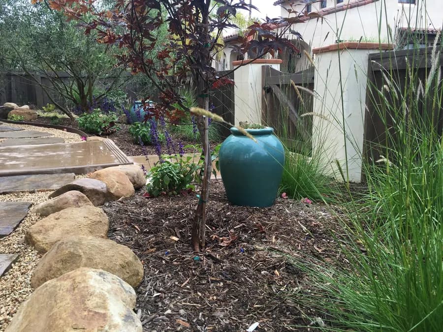 Lighthouse Sanctuary landscape project, photo 15