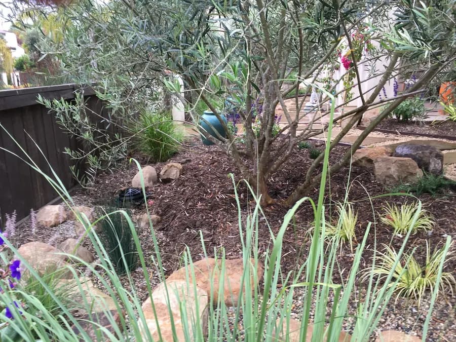 Lighthouse Sanctuary landscape project, photo 18