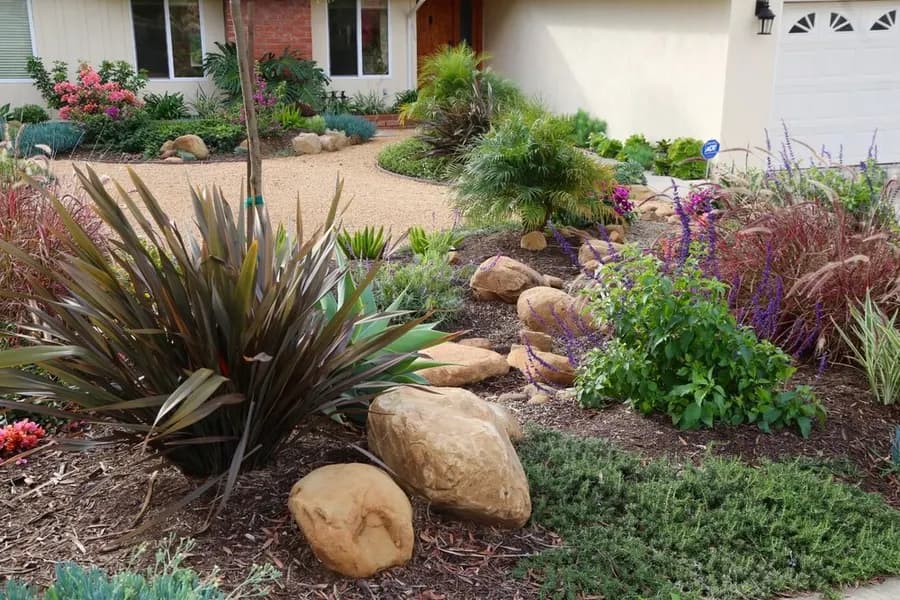 Mesa Grass Replacement landscape project, photo 1