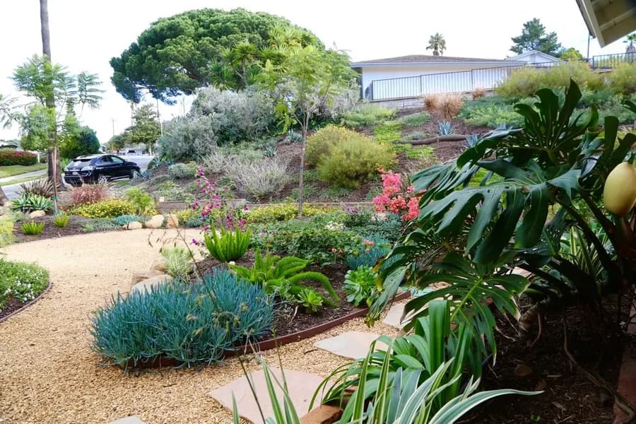 Mesa Grass Replacement landscape project, photo 6