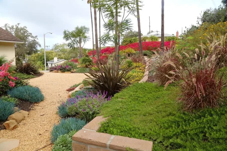 Mesa Grass Replacement landscape project, photo 8