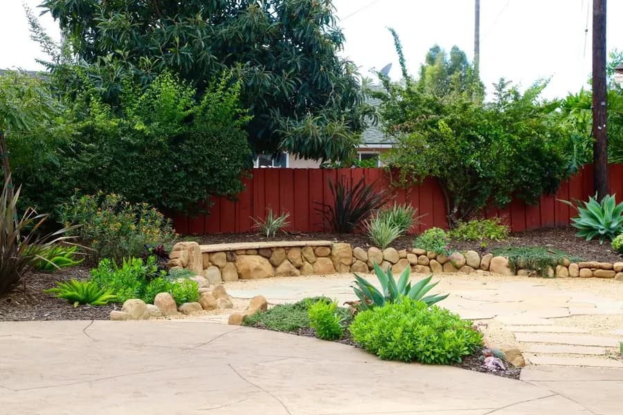 Mesa Grass Replacement landscape project, photo 10