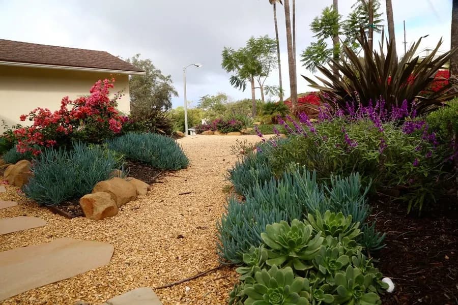 Mesa Grass Replacement landscape project, photo 12