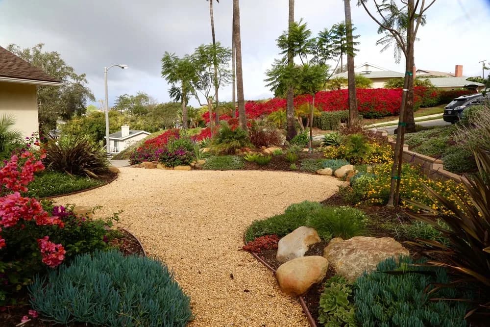 Mesa Grass Replacement landscape project