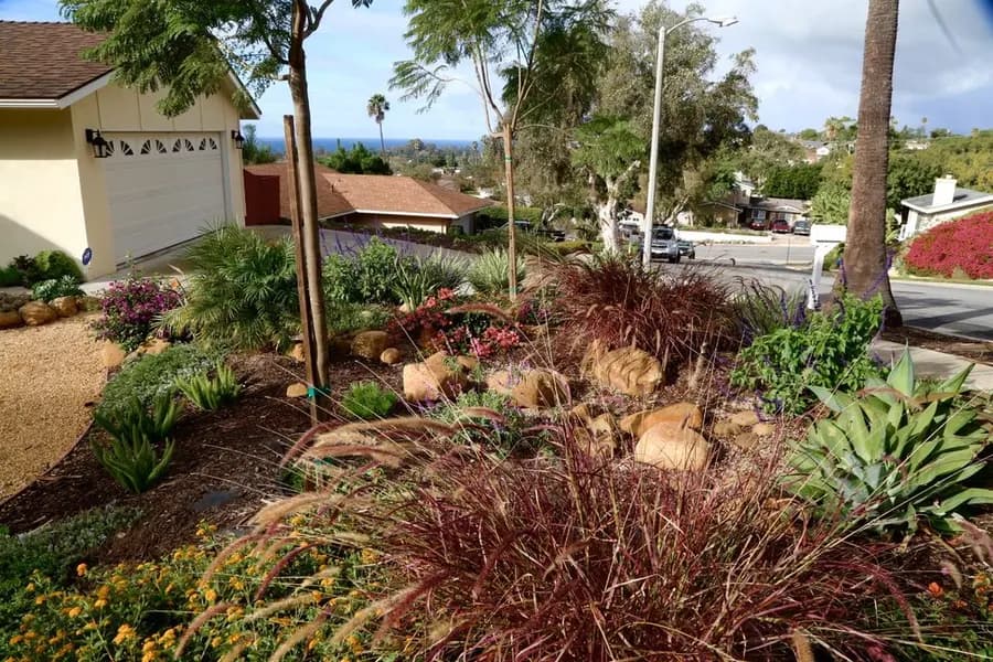 Mesa Grass Replacement landscape project, photo 14
