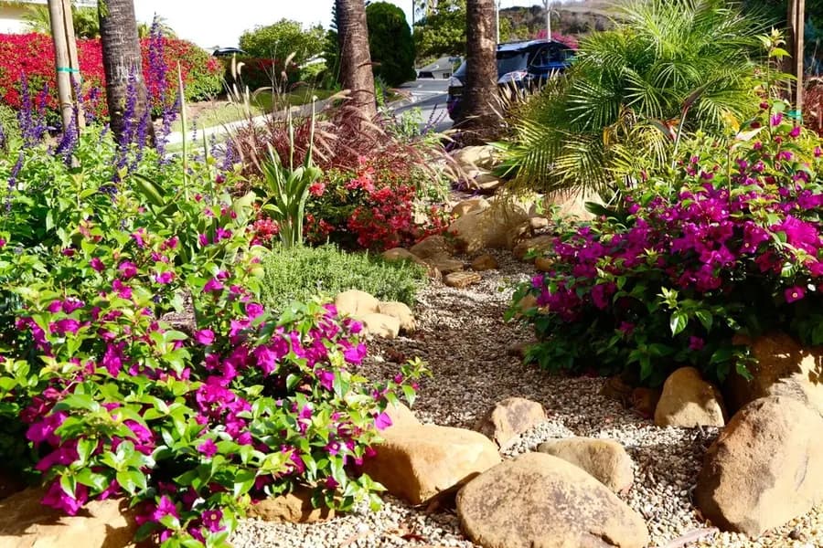 Mesa Grass Replacement landscape project, photo 16