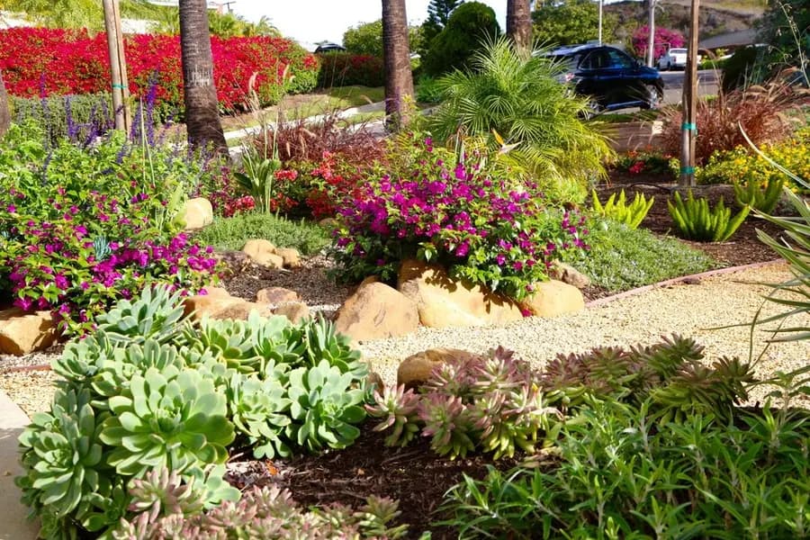 Mesa Grass Replacement landscape project, photo 17