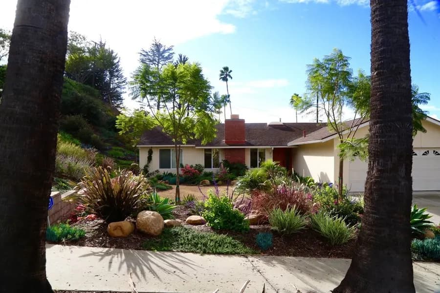 Mesa Grass Replacement landscape project, photo 18