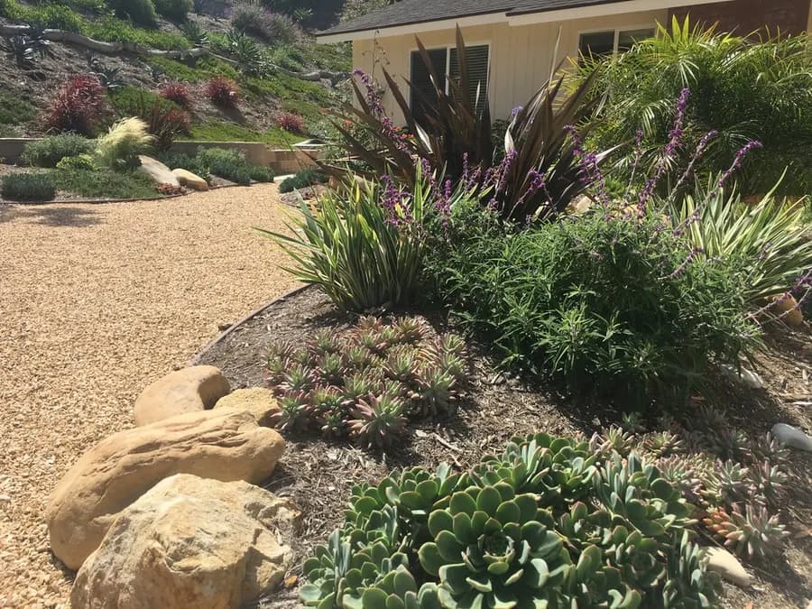 Mesa Grass Replacement landscape project, photo 21