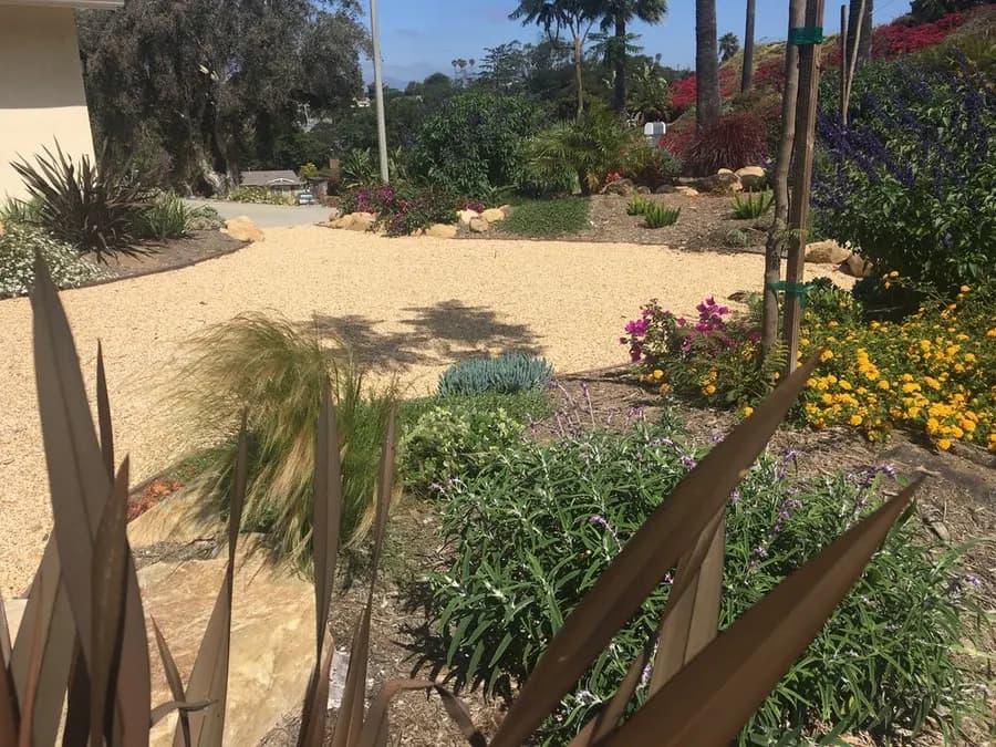 Mesa Grass Replacement landscape project, photo 22