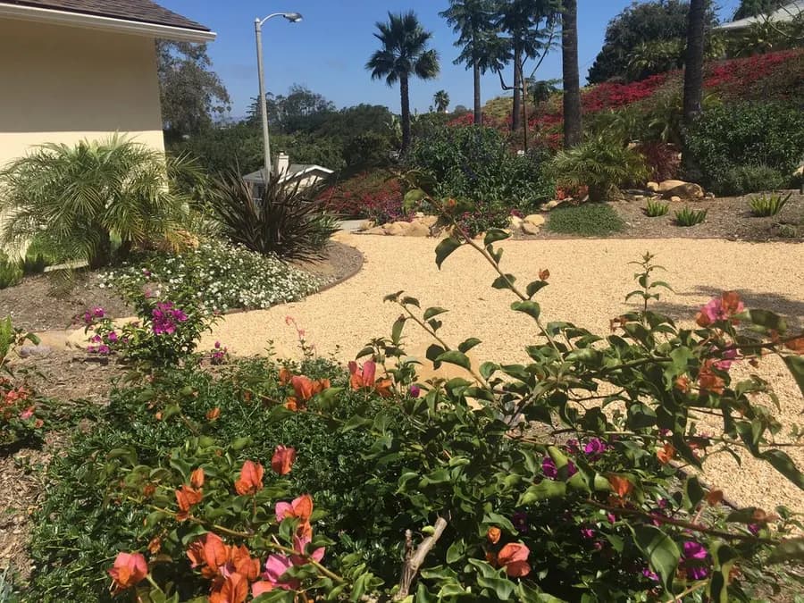 Mesa Grass Replacement landscape project, photo 23