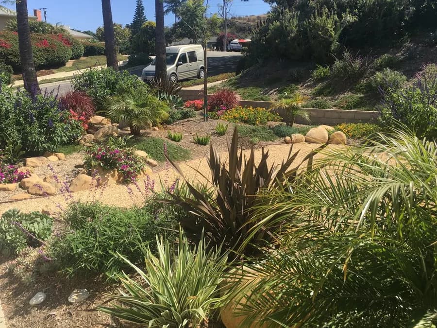 Mesa Grass Replacement landscape project, photo 28