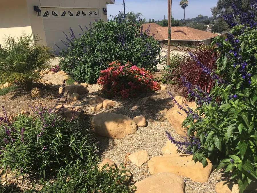 Mesa Grass Replacement landscape project, photo 29