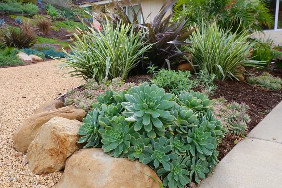 Mesa Grass Replacement landscape project, photo 3