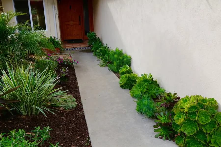 Mesa Grass Replacement landscape project, photo 4