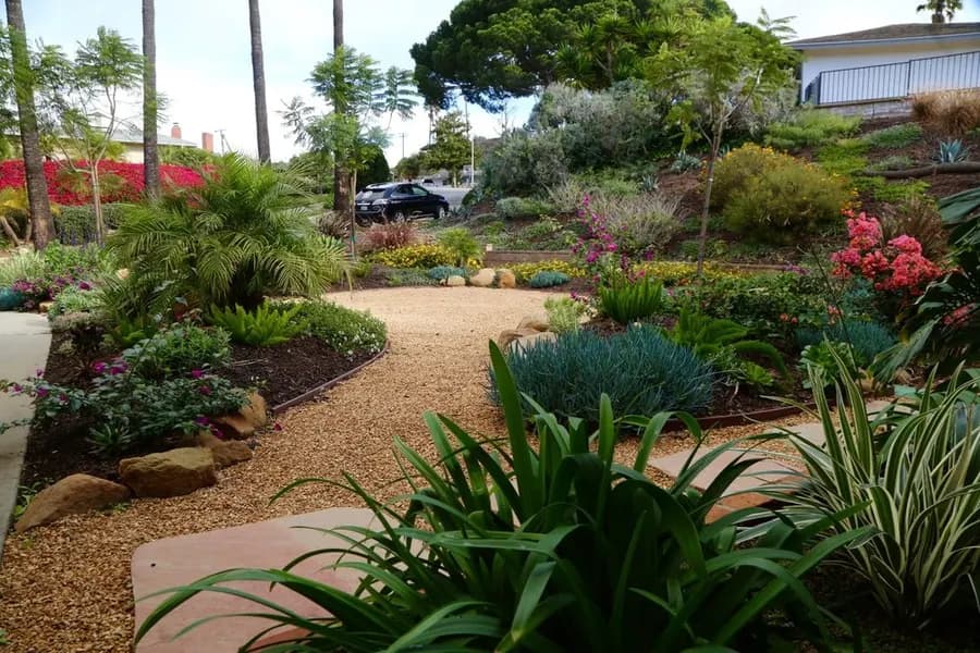 Mesa Grass Replacement landscape project, photo 5