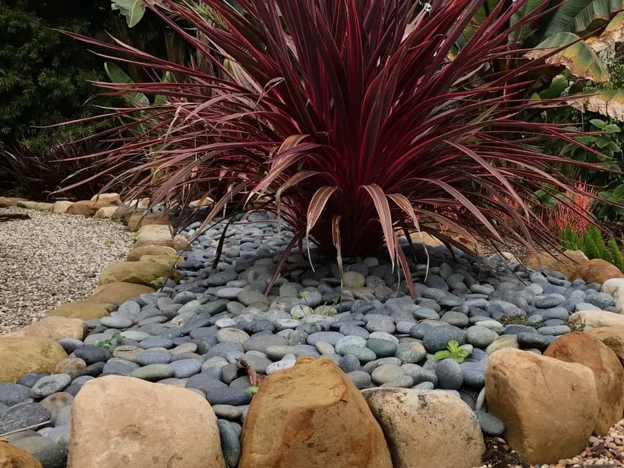 Miramar Beach Shangri-La landscape project, photo 14