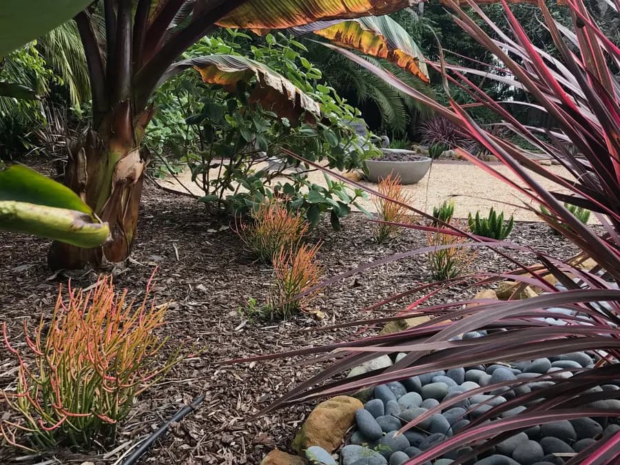 Miramar Beach Shangri-La landscape project, photo 16