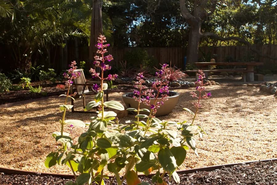 Miramar Beach Shangri-La landscape project, photo 3