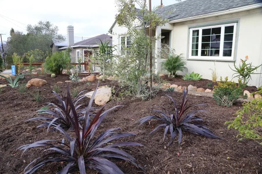 Robbins Street Rehab landscape project, photo 11