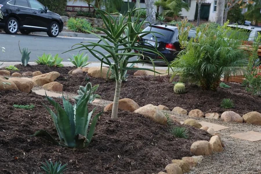 Robbins Street Rehab landscape project, photo 17