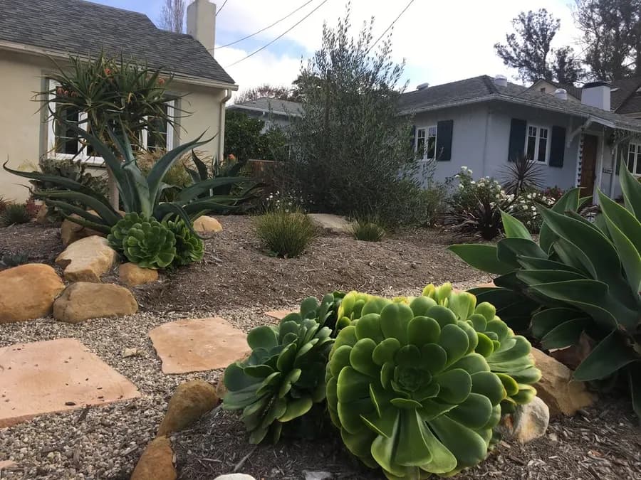 Robbins Street Rehab landscape project, photo 3