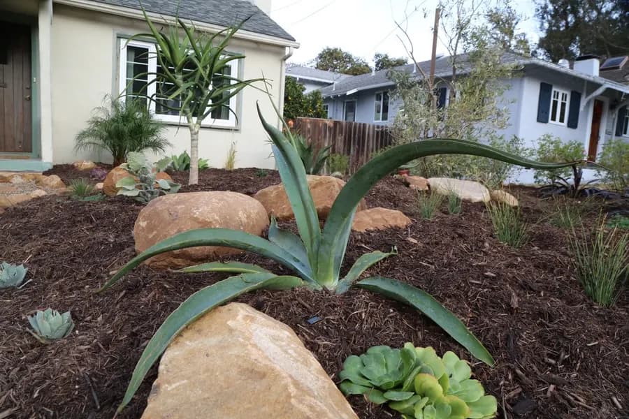 Robbins Street Rehab landscape project, photo 23