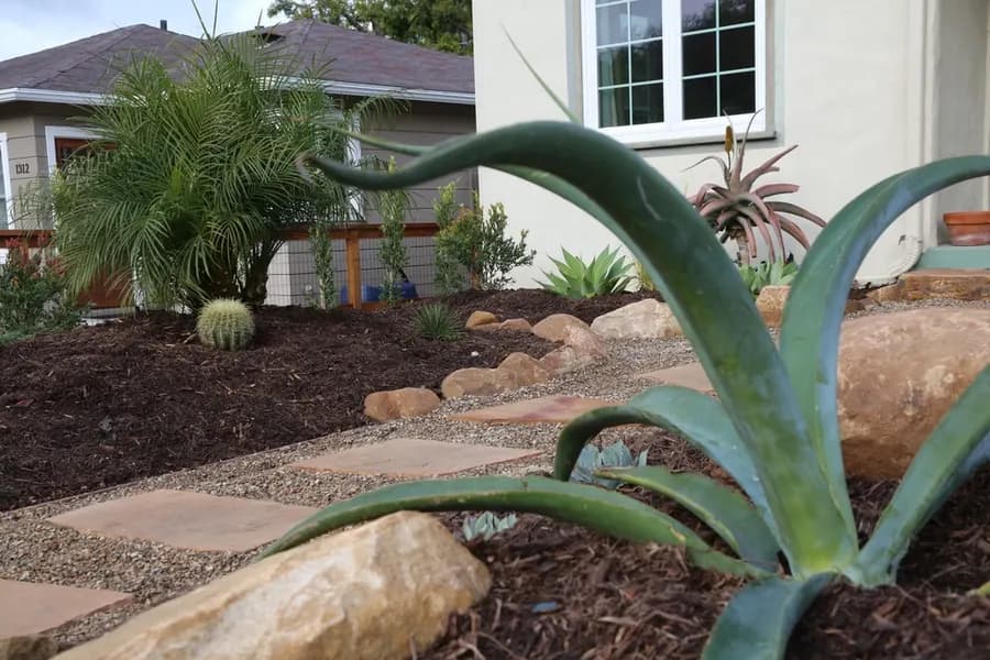 Robbins Street Rehab landscape project, photo 24