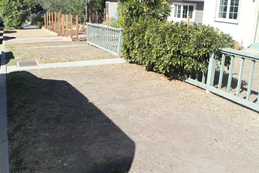 Robbins Street Rehab landscape project, photo 30