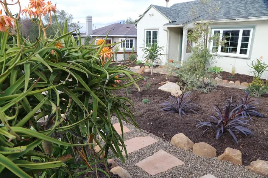 Robbins Street Rehab landscape project, photo 9