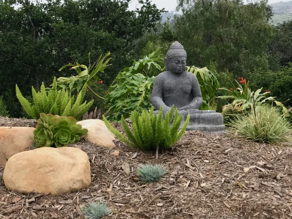 Morada landscape project
